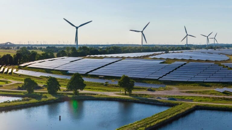 Government's renewable plans