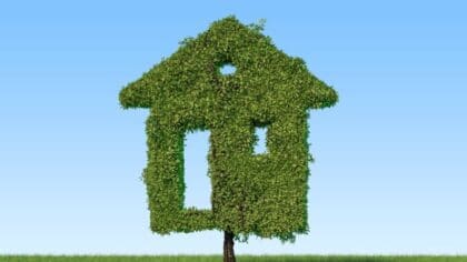 Photo of a green house template covered in grass.